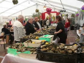 Oysters Galore
