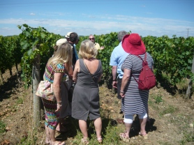 Talking about the Grape Varieties on one of our Loire Valley Wine Tours