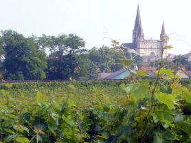 Wine Tasting in the Loire Valley